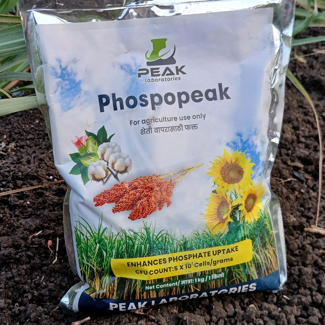 PHOSPHOPEAK: PSB Phosphate Solubilizing Bacteria 1 Kg Packet (Dextrose) (FREE HOME DELIVERY)