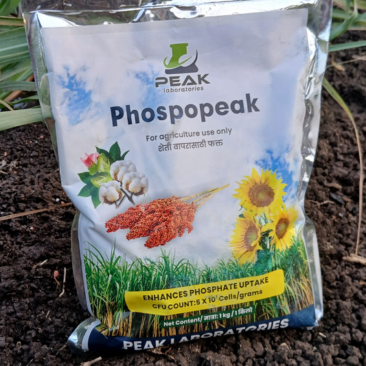 PHOSPHOPEAK: PSB Phosphate Solubilizing Bacteria   1 Kg Packet (Talc)