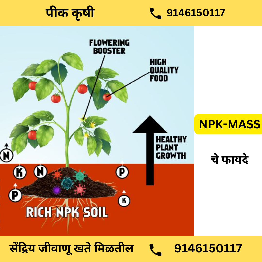 NPK MASS: NPK Consortia 1 Litre Bottle (FREE HOME DELIVERY)