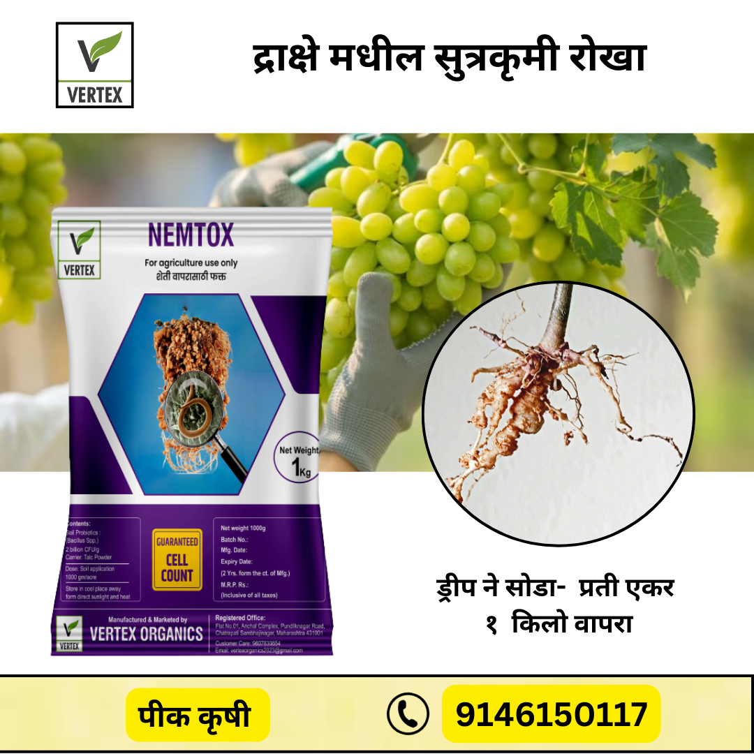 Grape Biofertilizer Kit