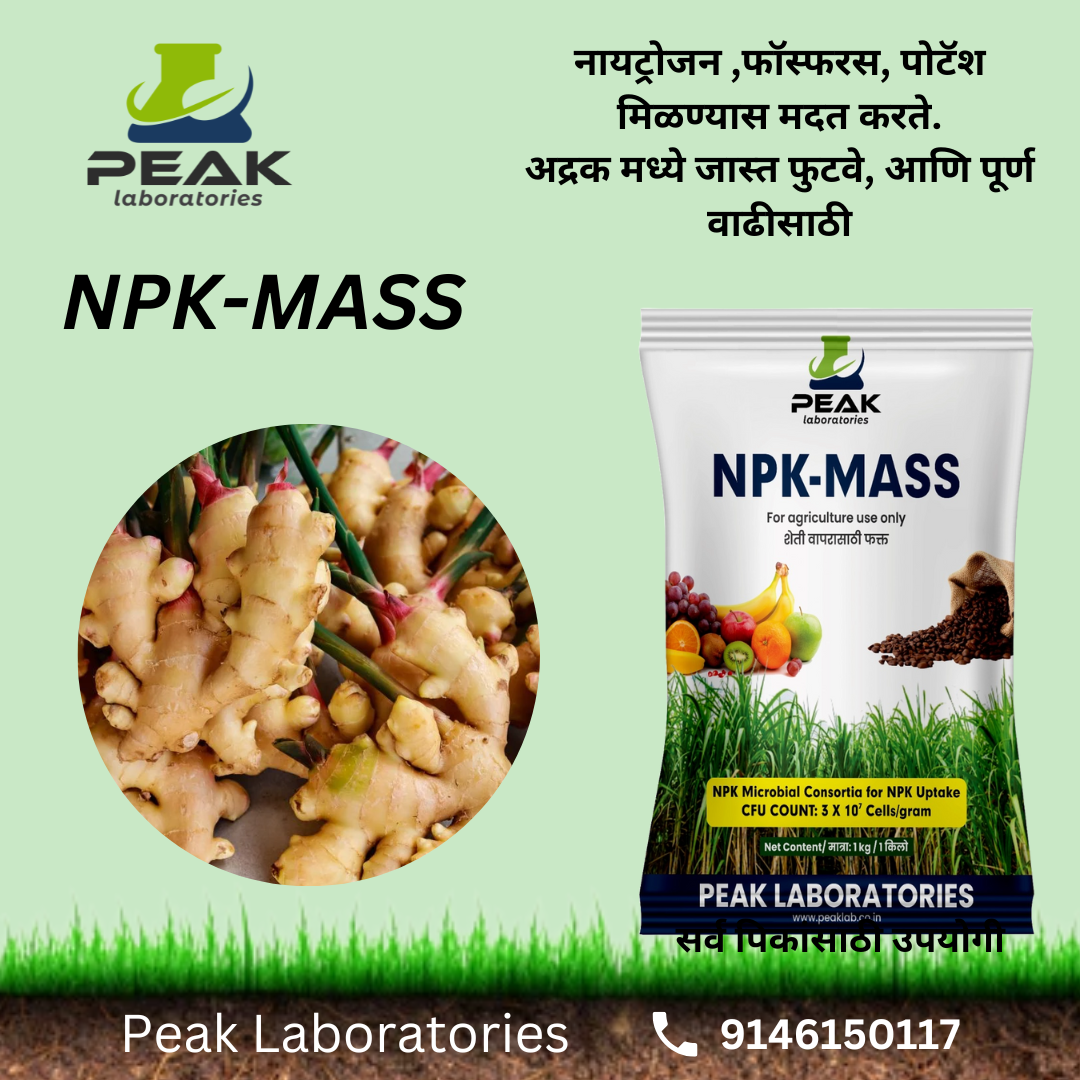 आले कॉम्बो Biofertilizer Combo for Ginger FREE SHIPPING