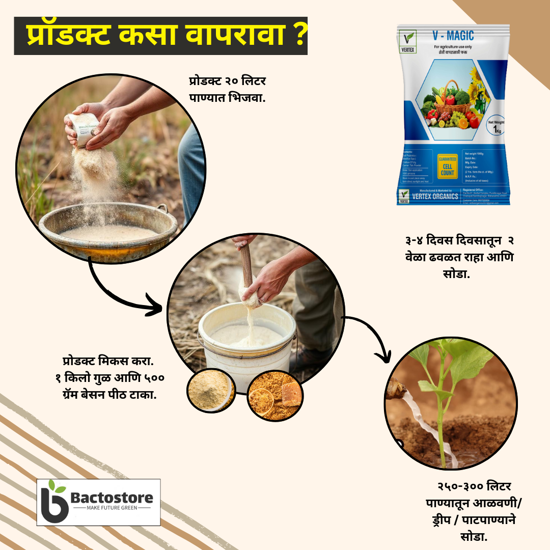 V-MAGIC 1 Kg Pack (Dextrose)