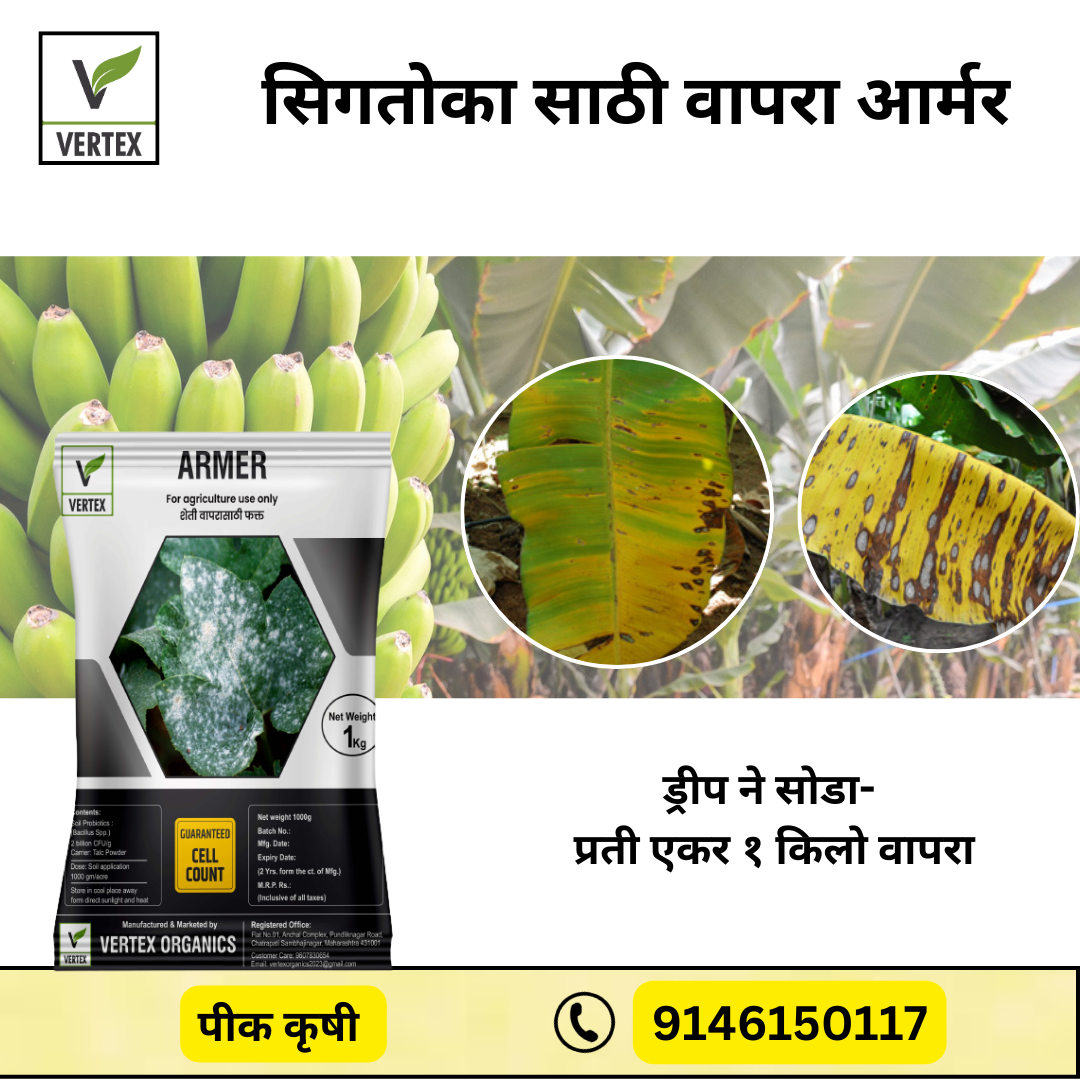 केळी साठी जीवाणू कीट / Banana Biofertilizer Kit FREE SHIPPING