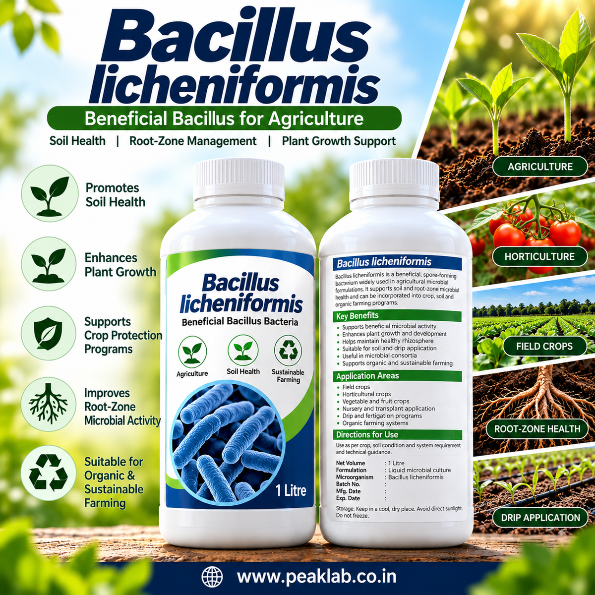 Bacillus licheniformis Liquid 1 Litre | Agricultural Bacteria