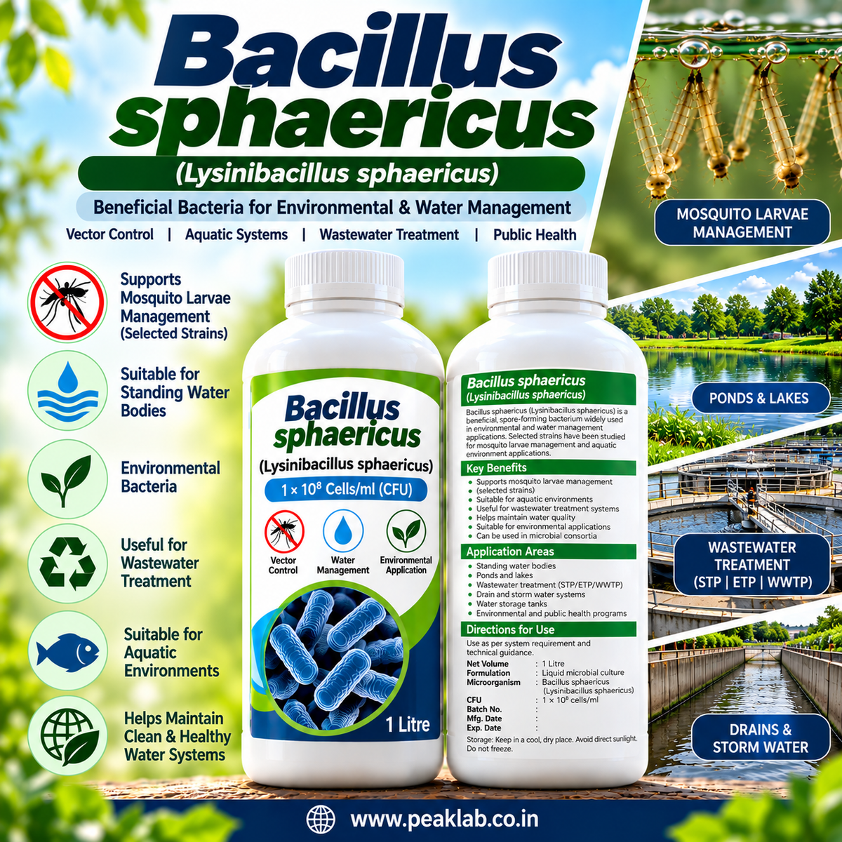 Bacillus sphaericus Liquid 1L | Lysinibacillus sphaericus