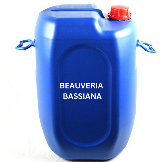 beauveria bassiana biopesticide