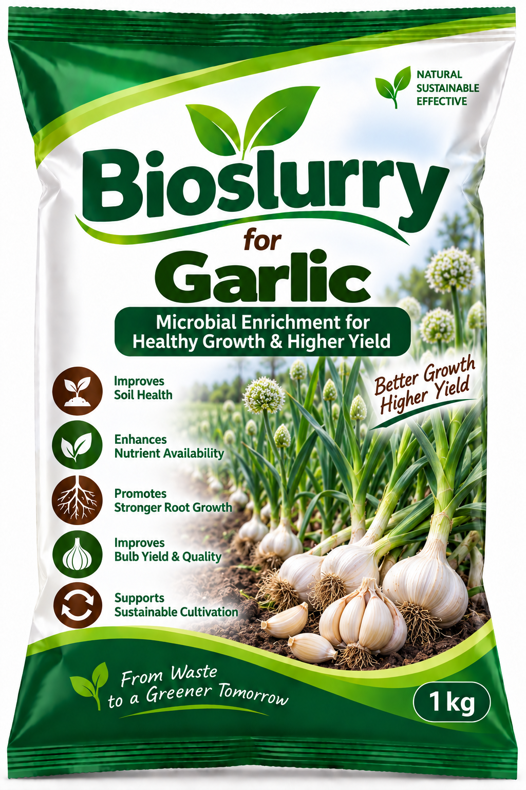 Bioslurry for Garlic