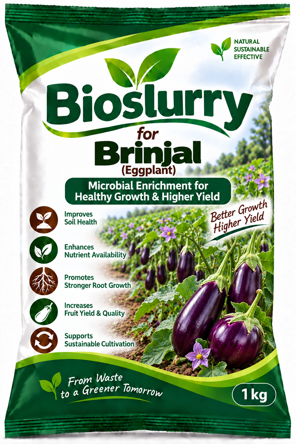 Bioslurry for Brinjal (Eggplant)