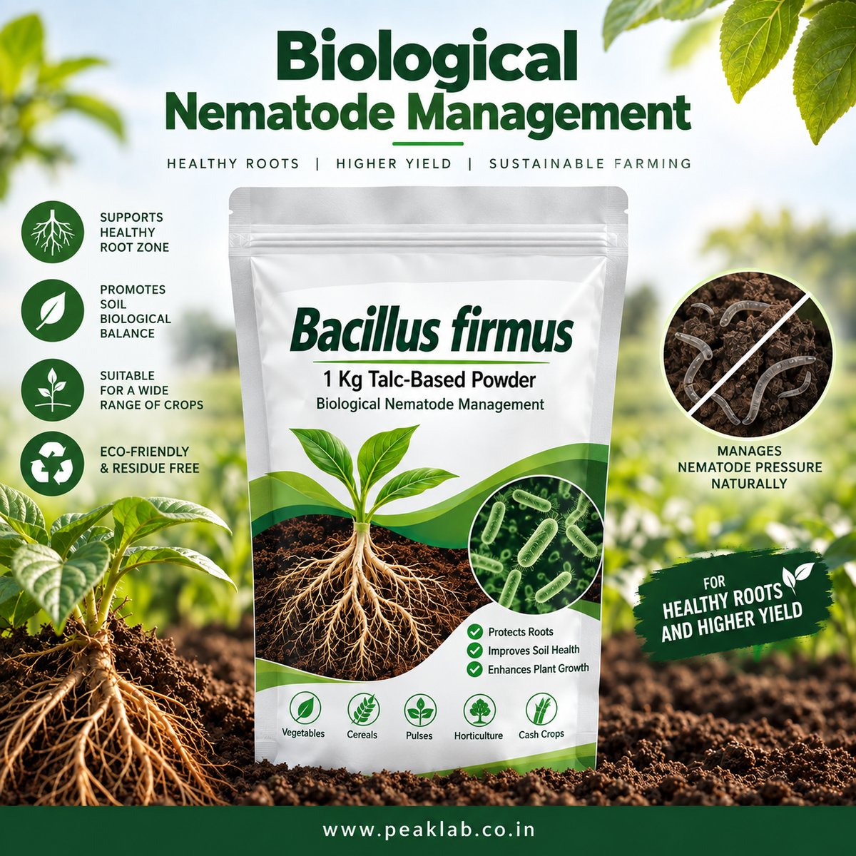 Bacillus firmus 1 Kg Talc-Based Powder – Biological Nematode Management