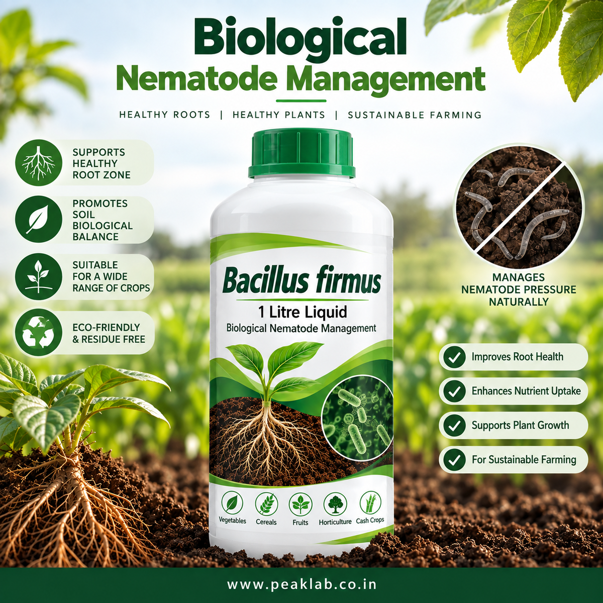 Bacillus firmus 1 Litre Liquid – Biological Nematode Management