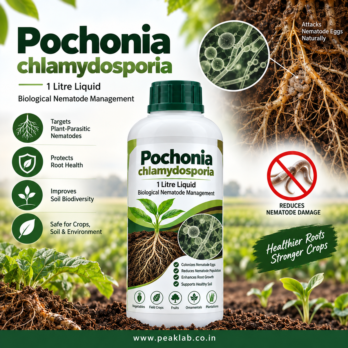 Pochonia chlamydosporia 1 Litre Liquid – Biological Nematode Management