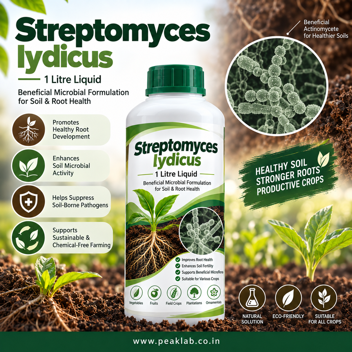 Streptomyces lydicus 1 Litre Liquid – Beneficial Microbial Formulation for Soil & Root Health
