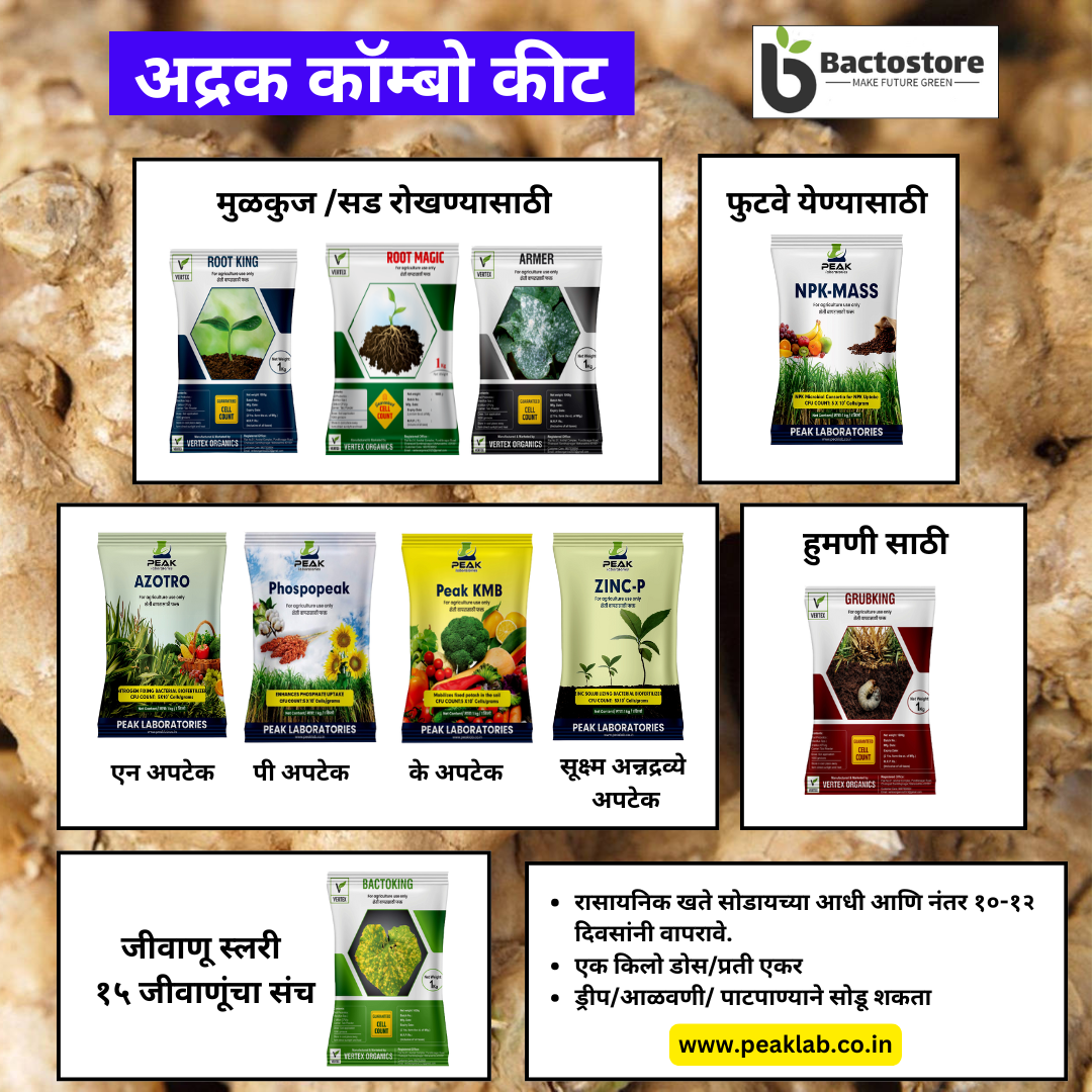 आले कॉम्बो Biofertilizer Combo for Ginger