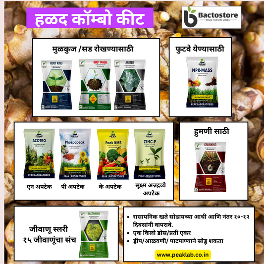 हळद कॉम्बो Biofertilizer Combo for Turmeric