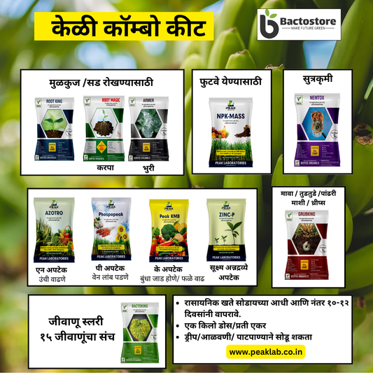 केळी साठी जीवाणू कीट / Banana Biofertilizer Kit