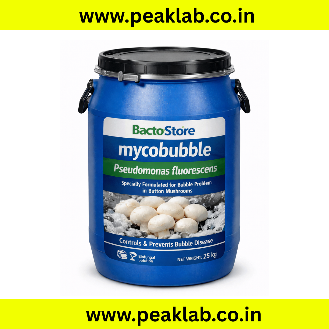 Mycobubble – Commercial-Scale Biological Control for Wet Bubble Disease in Button Mushroom (25 kg Drum)