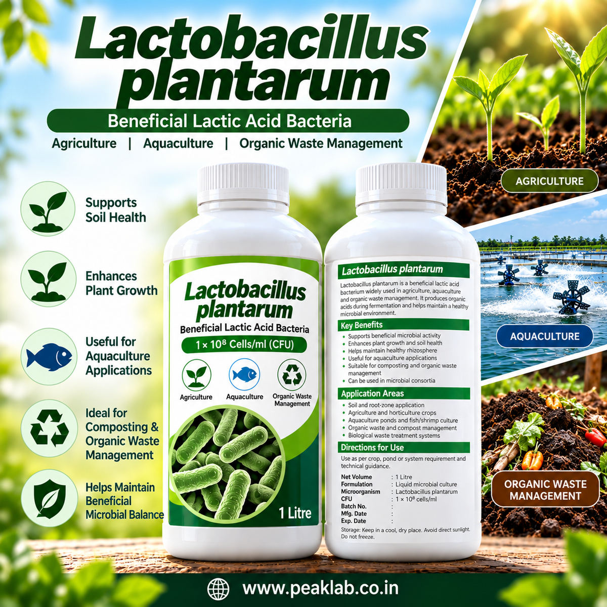 Lactobacillus plantarum Liquid 1L | 1×10⁸ Cells/ml