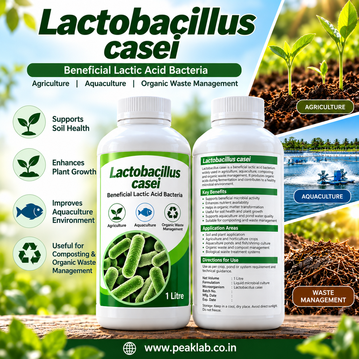 Lactobacillus casei Liquid 1 Litre | Beneficial LAB Bacteria