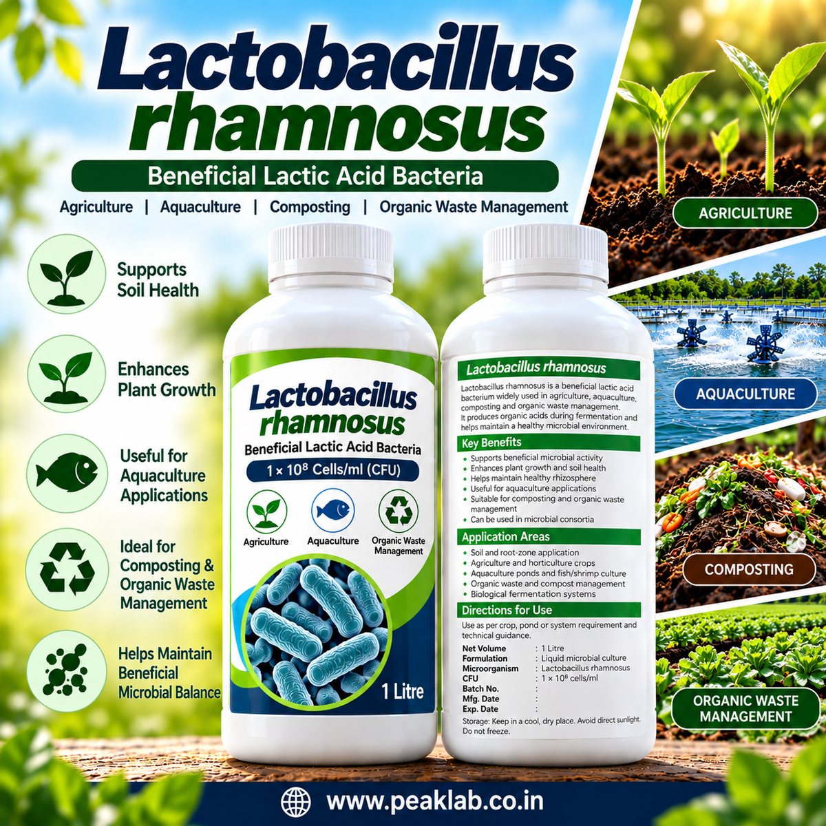 Lactobacillus rhamnosus Liquid – 1 Litre