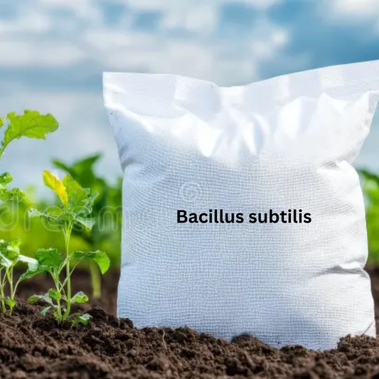 Bacillus Subtilis Powder Formulation (Water Insoluble) Talc Based Powder