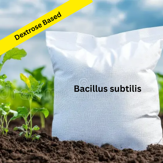 Dextrose Based Bacillus Subtilis Powder Formulation (Water Soluble)