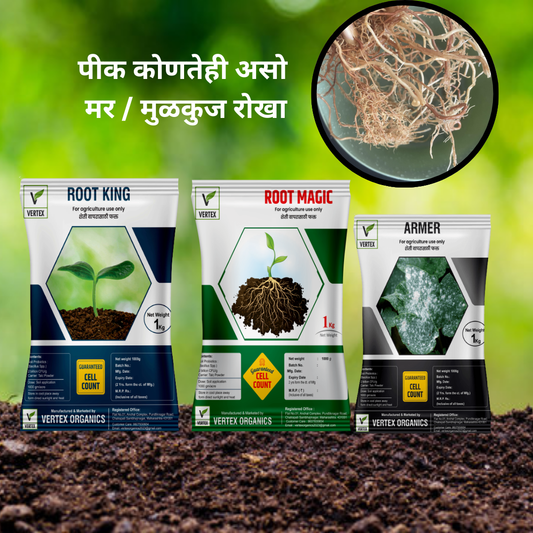 रूट प्रोटेक्शन किट ट्रायकोडर्मा +सुडोमोनास फ्लुरोसन्स + बसिलस सबटिलीस Root Protection Kit (Root king + Root Magic + Armer Combo)   Dextrose Base  (FREE HOME DELIVERY)