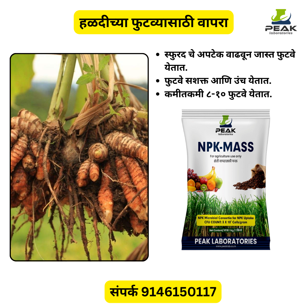 हळद कॉम्बो Biofertilizer Combo for Turmeric FREE SHIPPING