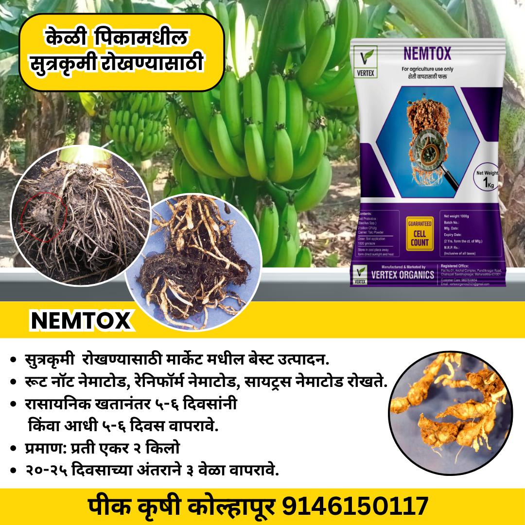 केळी साठी जीवाणू कीट / Banana Biofertilizer Kit FREE SHIPPING