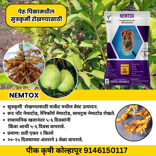 Guava Biofertilizer Kit पेरू जीवाणू खते कीट