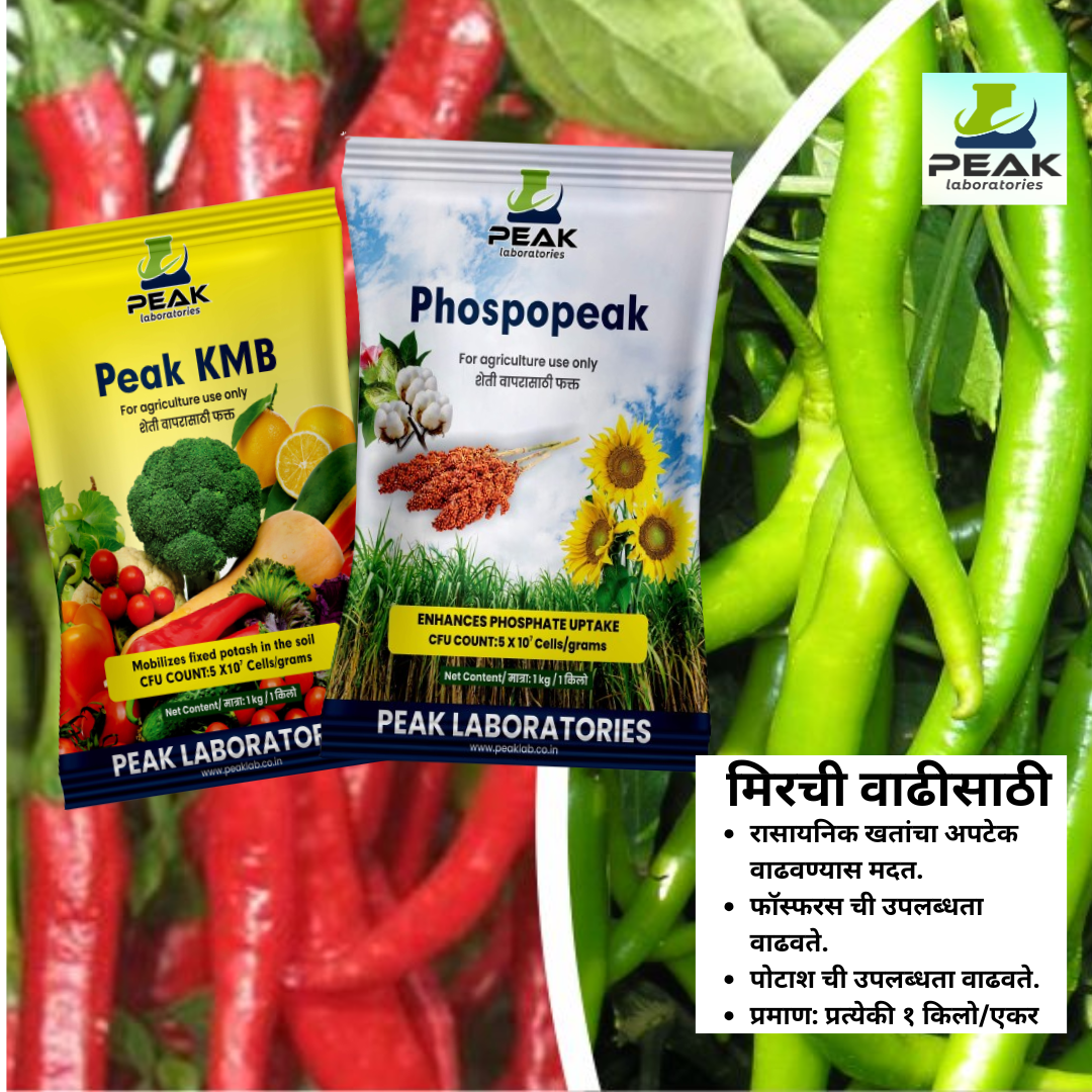 PSB KMB COMBO KIT (Dextrose)