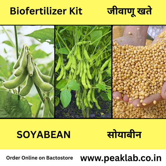 सोयाबीन जीवाणू खते कीट Soyabean Biofertilizer Kit