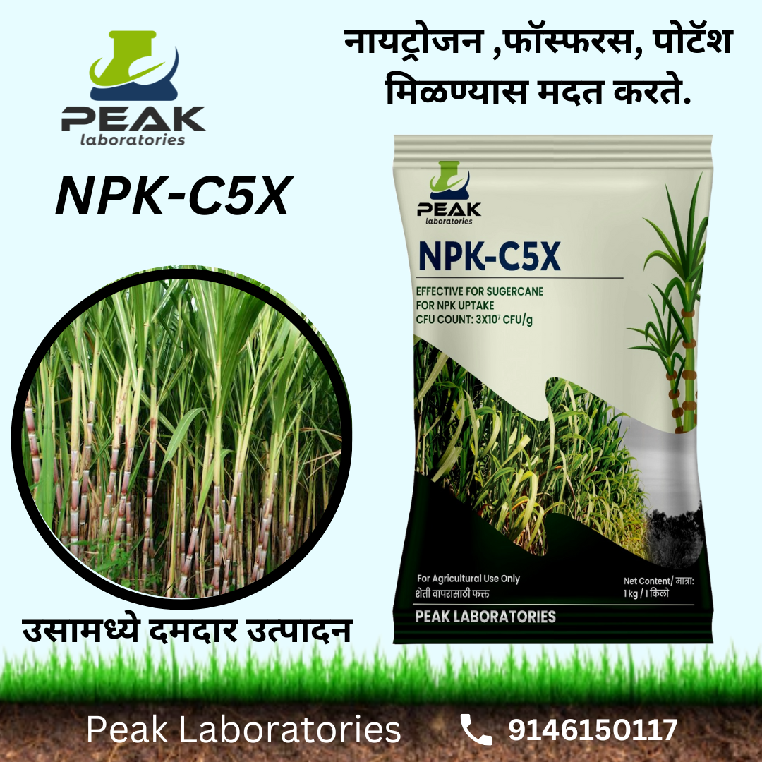 How to Increase Tillering in Sugarcane? | NPK C5X NPK Consortium