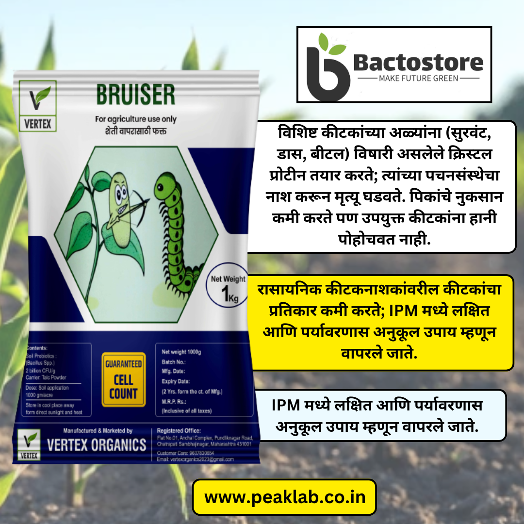 बॅसिलस थुरिनजिएन्सिस (Bt) चे तीन प्रमुख उपयोग