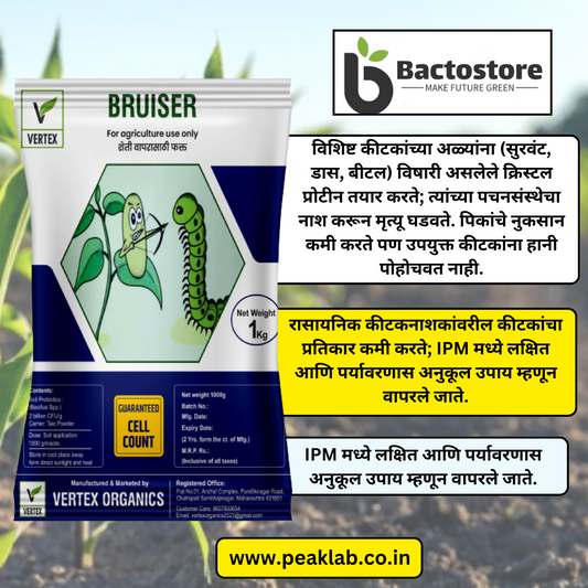 बॅसिलस थुरिनजिएन्सिस (Bt) चे तीन प्रमुख उपयोग