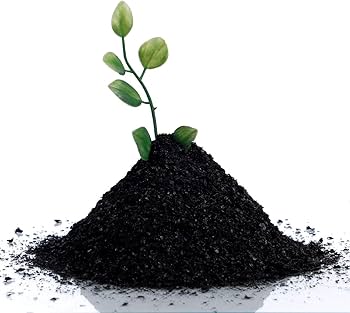 Potassium Humate for Garden Plants: Complete Guide