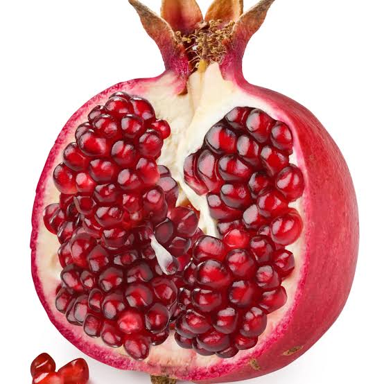 Streptomyces Lydicus for Root Infection Prevention in Pomegranate