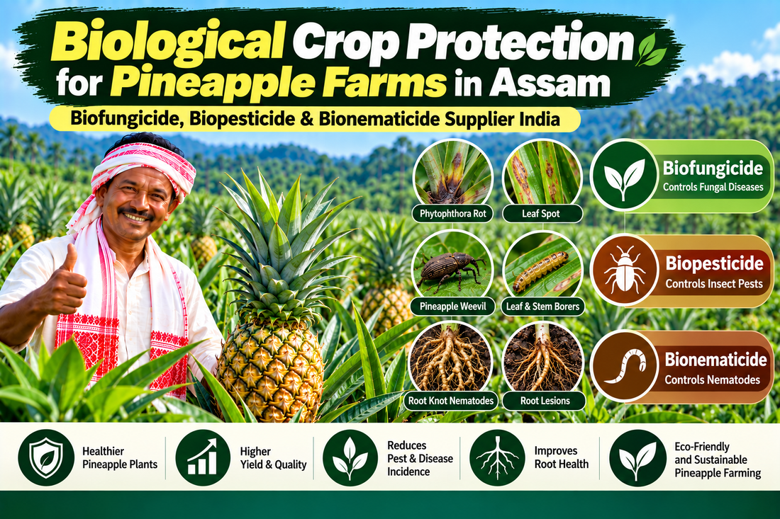 Biological Crop Protection for Pineapple Farms in Assam | Biofungicide, Biopesticide & Bionematicide Supplier India
