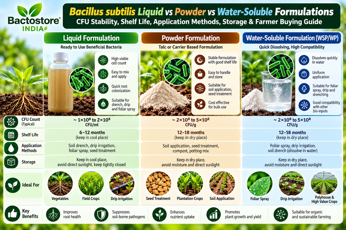 Bacillus subtilis Liquid vs Powder vs Water-Soluble Formulations | CFU Stability, Shelf Life, Application Methods, Storage & Farmer Buying Guide – Bactostore India