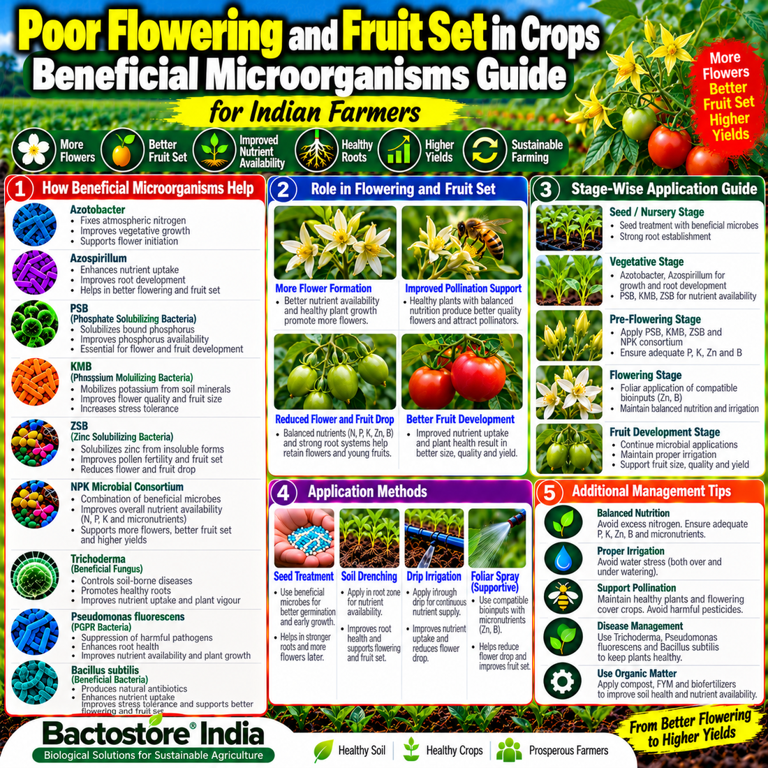 Poor Flowering and Fruit Set in Crops Beneficial Microorganisms Guide for Indian Farmers | How Azotobacter, Azospirillum, PSB, KMB, ZSB, NPK Microbial Consortium, Trichoderma, Pseudomonas fluorescens and Bacillus subtilis