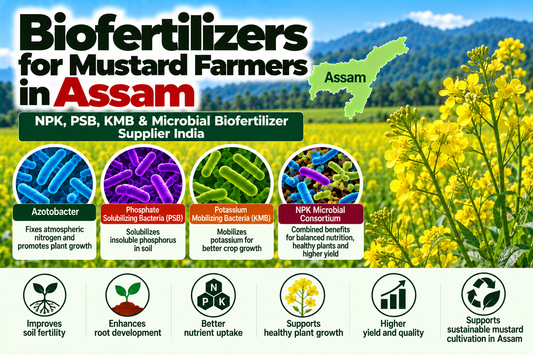 Biofertilizers for Mustard Farmers in Assam | NPK, PSB, KMB & Microbial Biofertilizer Supplier India