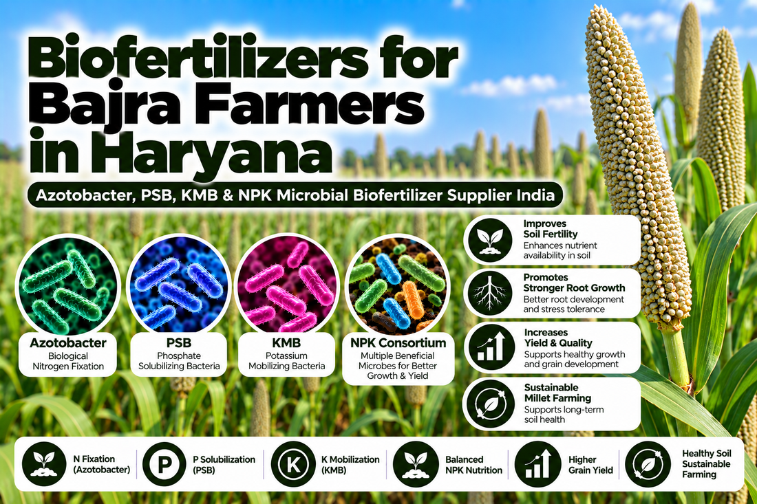 Biofertilizers for Bajra Farmers in Haryana | Azotobacter, PSB, KMB & NPK Microbial Biofertilizer Supplier India