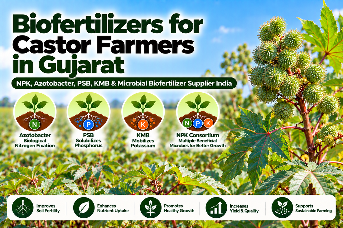 Biofertilizers for Castor Farmers in Gujarat | NPK, Azotobacter, PSB, KMB & Microbial Biofertilizer Supplier India
