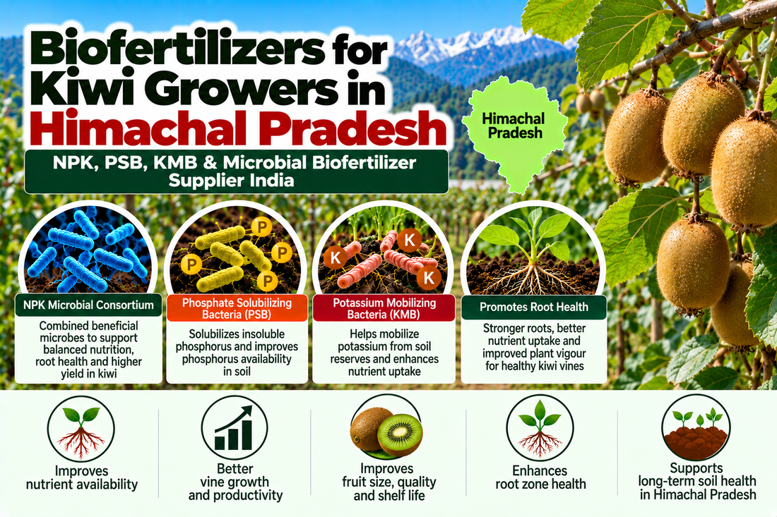 Biofertilizers for Kiwi Growers in Himachal Pradesh | NPK, PSB, KMB & Microbial Biofertilizer Supplier India
