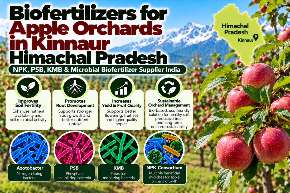 Biofertilizers for Apple Orchards in Kinnaur | NPK, PSB, KMB & Microbial Biofertilizer Supplier India