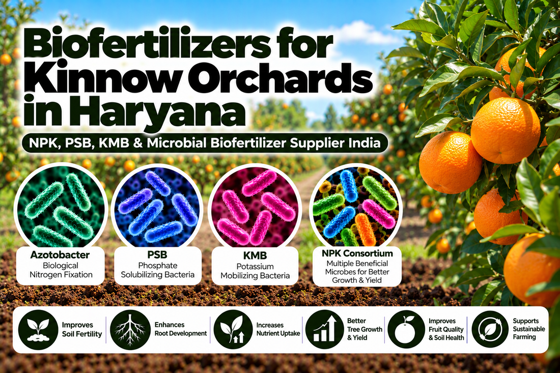 Biofertilizers for Kinnow Orchards in Haryana | NPK, PSB, KMB & Microbial Biofertilizer Supplier India