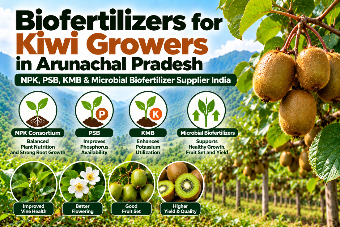 Biofertilizers for Kiwi Growers in Arunachal Pradesh | NPK, PSB, KMB & Microbial Biofertilizer Supplier India