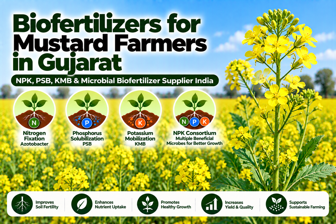 Biofertilizers for Mustard Farmers in Gujarat | NPK, PSB, KMB & Microbial Biofertilizer Supplier India