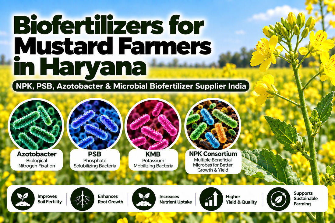 Biofertilizers for Mustard Farmers in Haryana | NPK, PSB, Azotobacter & Microbial Biofertilizer Supplier India