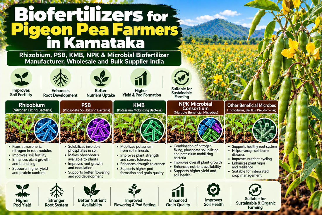 Biofertilizers for Pigeon Pea Farmers in Karnataka | Rhizobium, PSB, KMB, NPK & Microbial Biofertilizer Manufacturer, Wholesale and Bulk Supplier India