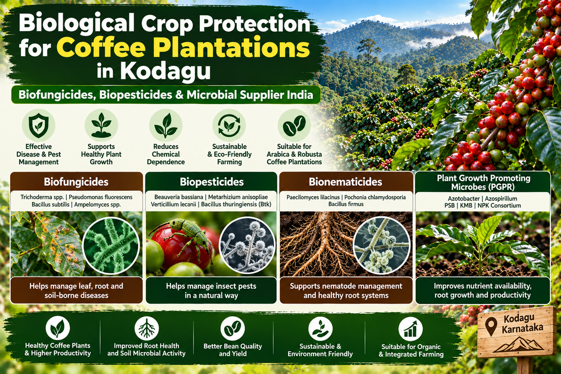 Biological Crop Protection for Coffee Plantations in Kodagu | Biofungicides, Biopesticides & Microbial Supplier India